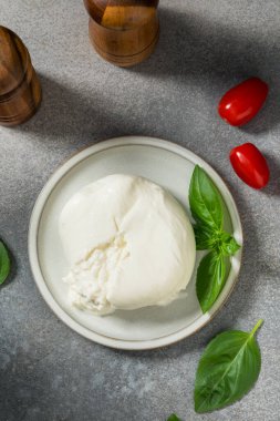 Sağlıklı Organik Beyaz Burrata Mozzarella Peyniri Pişirmeye Hazır