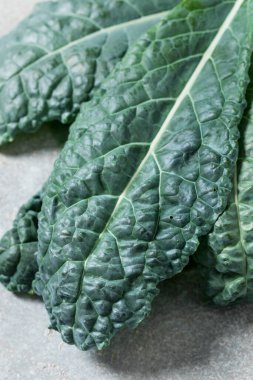 Sağlıklı İtalyan Lacinato Dinozor Kalesi