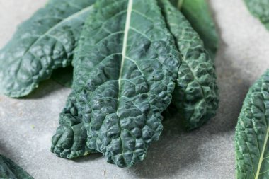 Sağlıklı İtalyan Lacinato Dinozor Kalesi