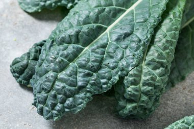 Sağlıklı İtalyan Lacinato Dinozor Kalesi