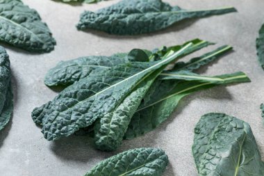 Sağlıklı İtalyan Lacinato Dinozor Kalesi