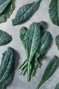 Sağlıklı İtalyan Lacinato Dinozor Kalesi