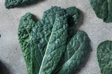 Sağlıklı İtalyan Lacinato Dinozor Kalesi