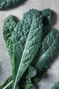 Sağlıklı İtalyan Lacinato Dinozor Kalesi