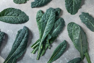 Sağlıklı İtalyan Lacinato Dinozor Kalesi