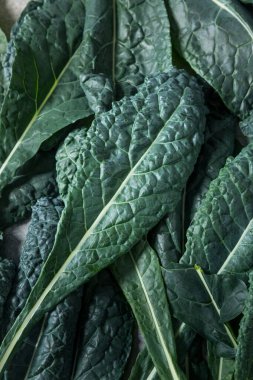 Sağlıklı İtalyan Lacinato Dinozor Kalesi