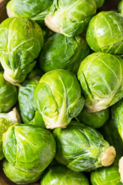 Bir kasede Yeşil Organik Çiğ Brüksel lahanası
