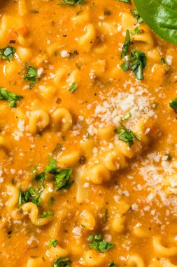 Domates Basili ve peynirli ev yapımı lazanya çorbası.