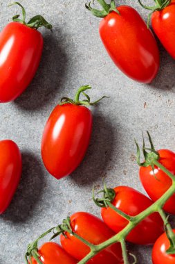 Healthy Organic Sugar Bomb Cherry Tomatoes on the Vine