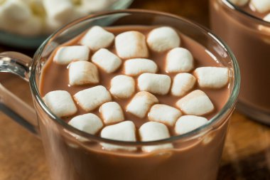 Şekerli Organik Sıcak Kakao Şekerlemeli Kupa