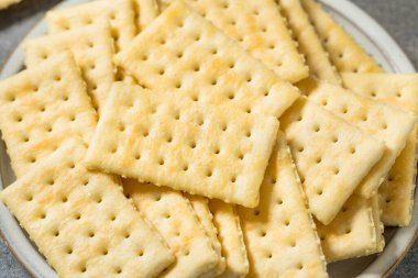 Organic Salty Rectrangle Butter Crackers with Sea Salt