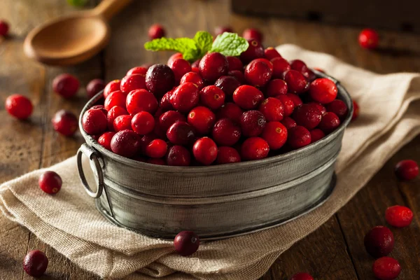 Cranberries vermelhas orgânicas em bruto — Fotografia de Stock