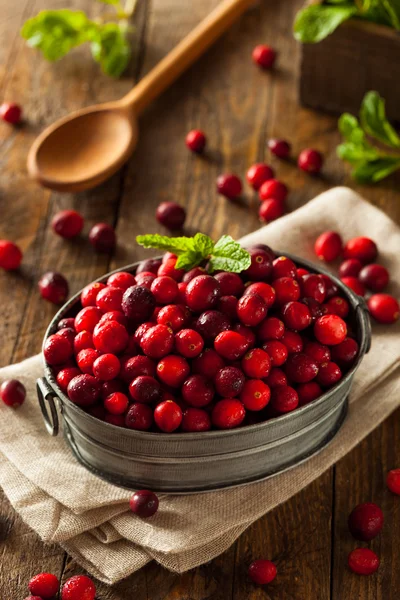 Органические красные ягоды — стоковое фото