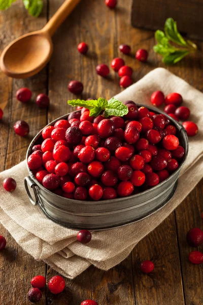 Cranberries vermelhas orgânicas em bruto — Fotografia de Stock