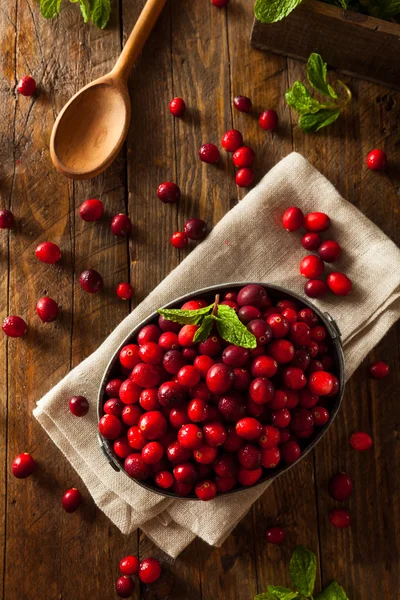 原料有机红小红莓 — 图库照片