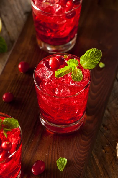 Hemgjord Boozy tranbär Cocktail — Stockfoto