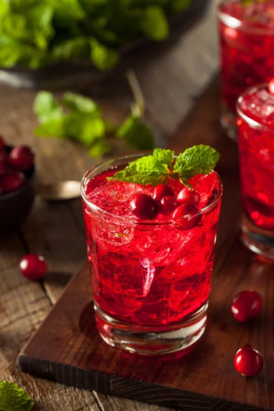 Homemade Boozy Cranberry Cocktail — Stock Photo, Image