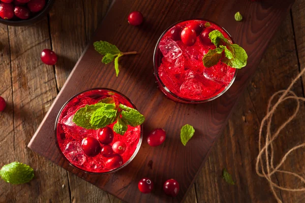 Homemade Boozy Cranberry Cocktail — Stock Photo, Image