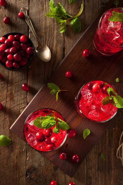 Homemade Boozy Cranberry Cocktail — Stock Photo, Image