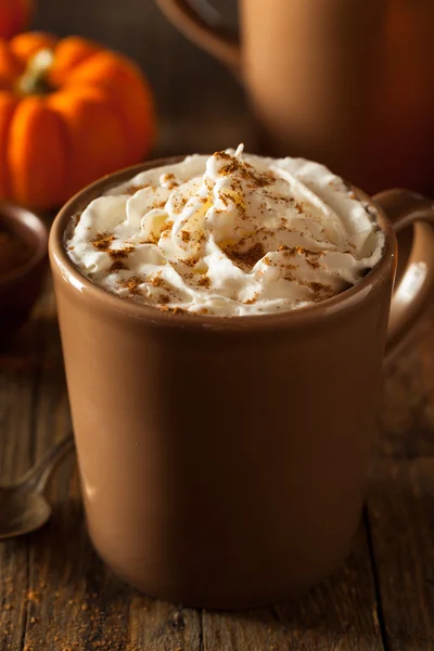 Hausgemachte Kürbis-Gewürz-Latte — Stockfoto