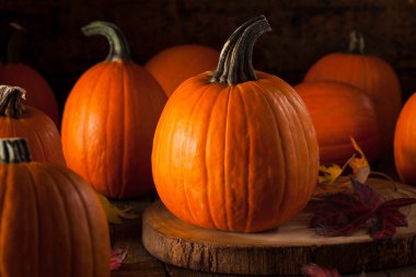 Ham organik pasta kabak