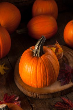 Ham organik pasta kabak