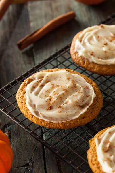 Σπιτικό κολοκύθας μπαχαρικό Cookies — Φωτογραφία Αρχείου