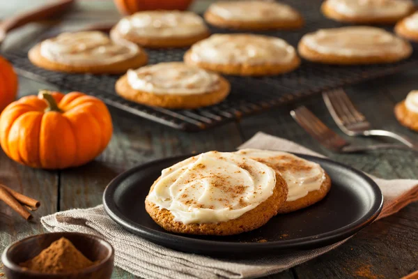 Σπιτικό κολοκύθας μπαχαρικό Cookies — Φωτογραφία Αρχείου