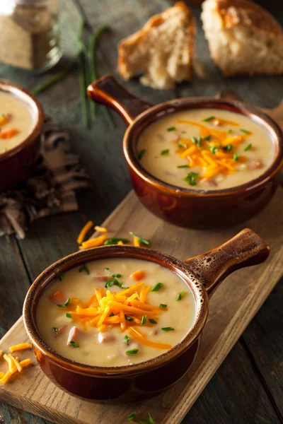 Sopa de queijo de cerveja caseira — Fotografia de Stock