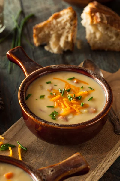 Soupe de fromage de bière maison — Photo