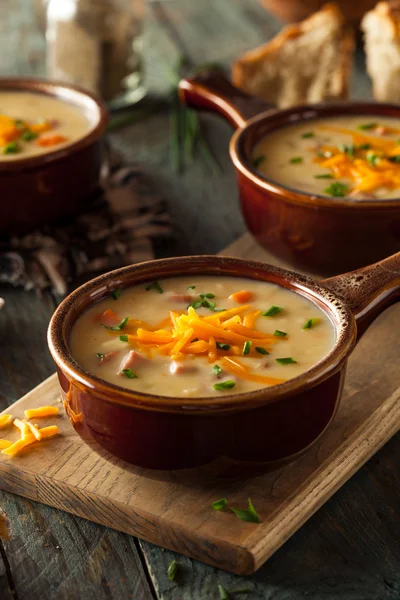 Zuppa di formaggio di birra fatta in casa — Foto Stock