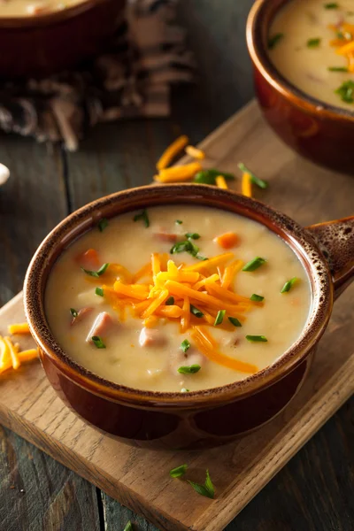 Zuppa di formaggio di birra fatta in casa — Foto Stock