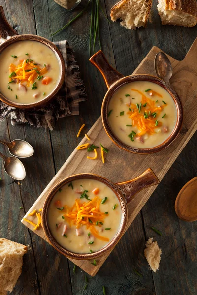 Homemade Beer Cheese Soup — Stock Photo, Image