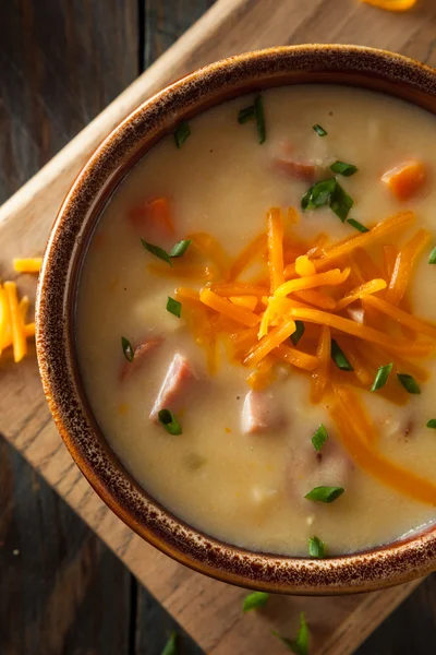 Sopa de queijo de cerveja caseira — Fotografia de Stock