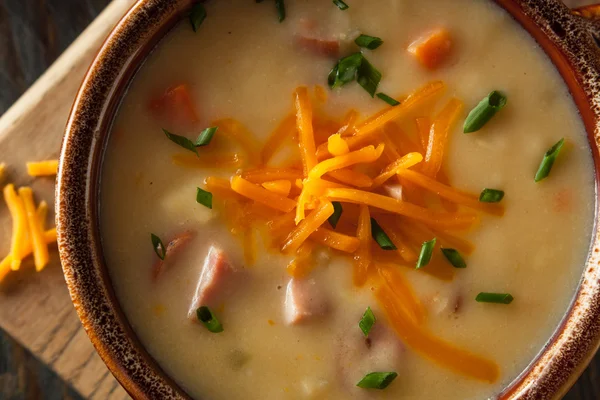Домашний суп из пивного сыра — стоковое фото