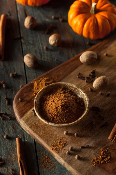 Especia de calabaza cruda orgánica — Foto de Stock