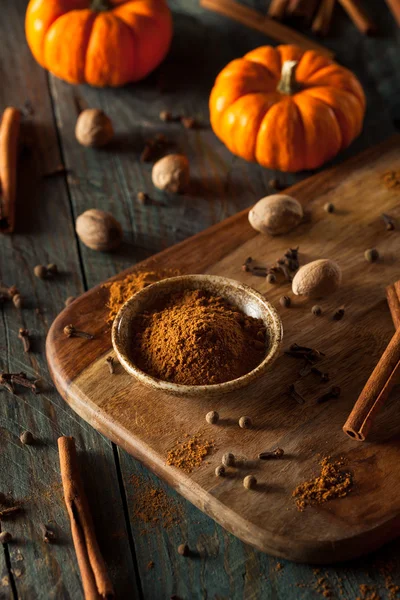 Organic Raw Pumpkin Spice — Fotografie, imagine de stoc