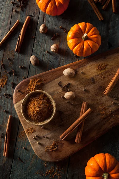 Organic Raw Pumpkin Spice — Fotografie, imagine de stoc