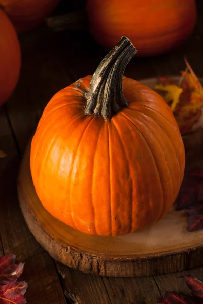 Raw Organic Pie Pumpkins — Stock Photo, Image