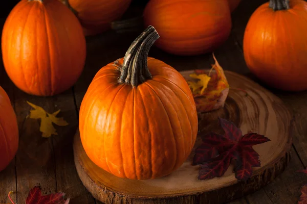 Raw Organic Pie Pumpkins — Stock Photo, Image