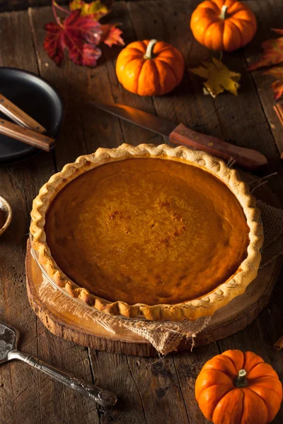 Torta de abóbora caseira festiva — Fotografia de Stock