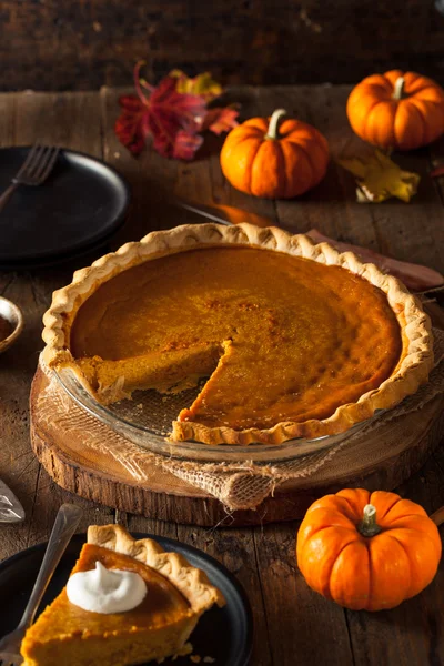 Torta di zucca fatta in casa festiva — Foto Stock