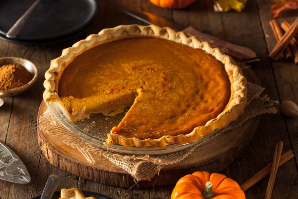 Pastel de calabaza casero festivo — Foto de Stock