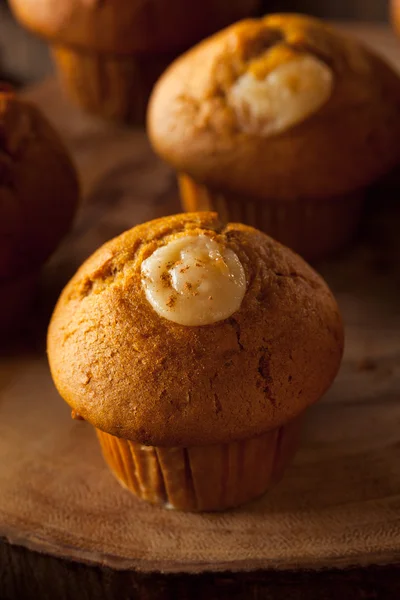 Muffins de especiarias de abóbora caseiro — Fotografia de Stock