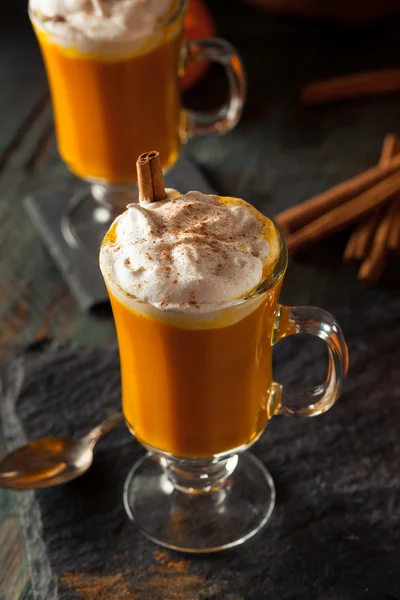 Homemade Thanksgiving Boozy Pumpkin Cocktail — Stock Photo, Image