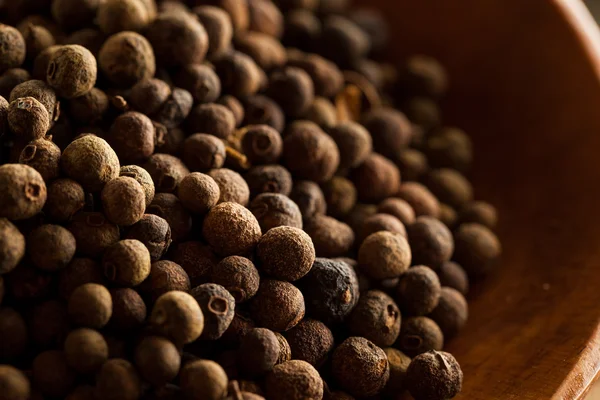 Allspice marrón orgánico crudo — Foto de Stock