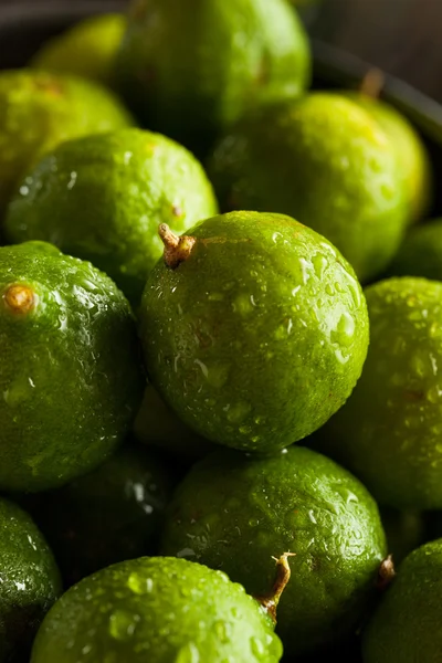 Raw Green Organic Key Limes — Stock Photo, Image