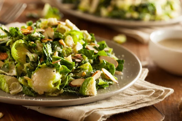 Kale and Brussel Sprout Salad — Stock Photo, Image