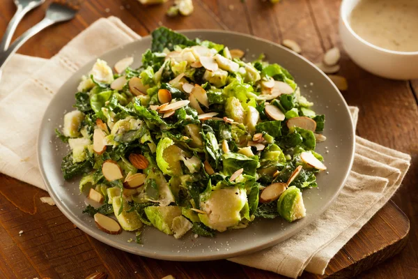 Grünkohl-Rosenkohl-Salat — Stockfoto