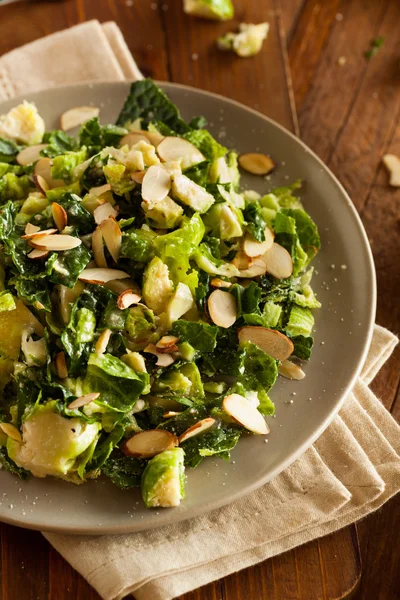 Ensalada de col rizada y coles de Bruselas —  Fotos de Stock